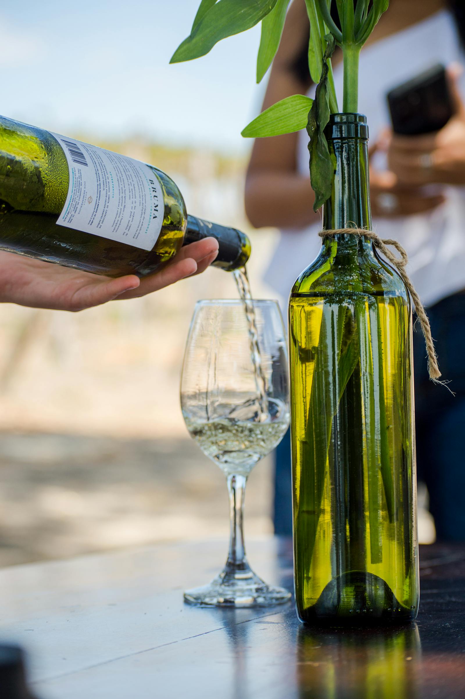 vancroft Blanco 2023 — a pale gold Chardonnay in stem against the cellar wall.