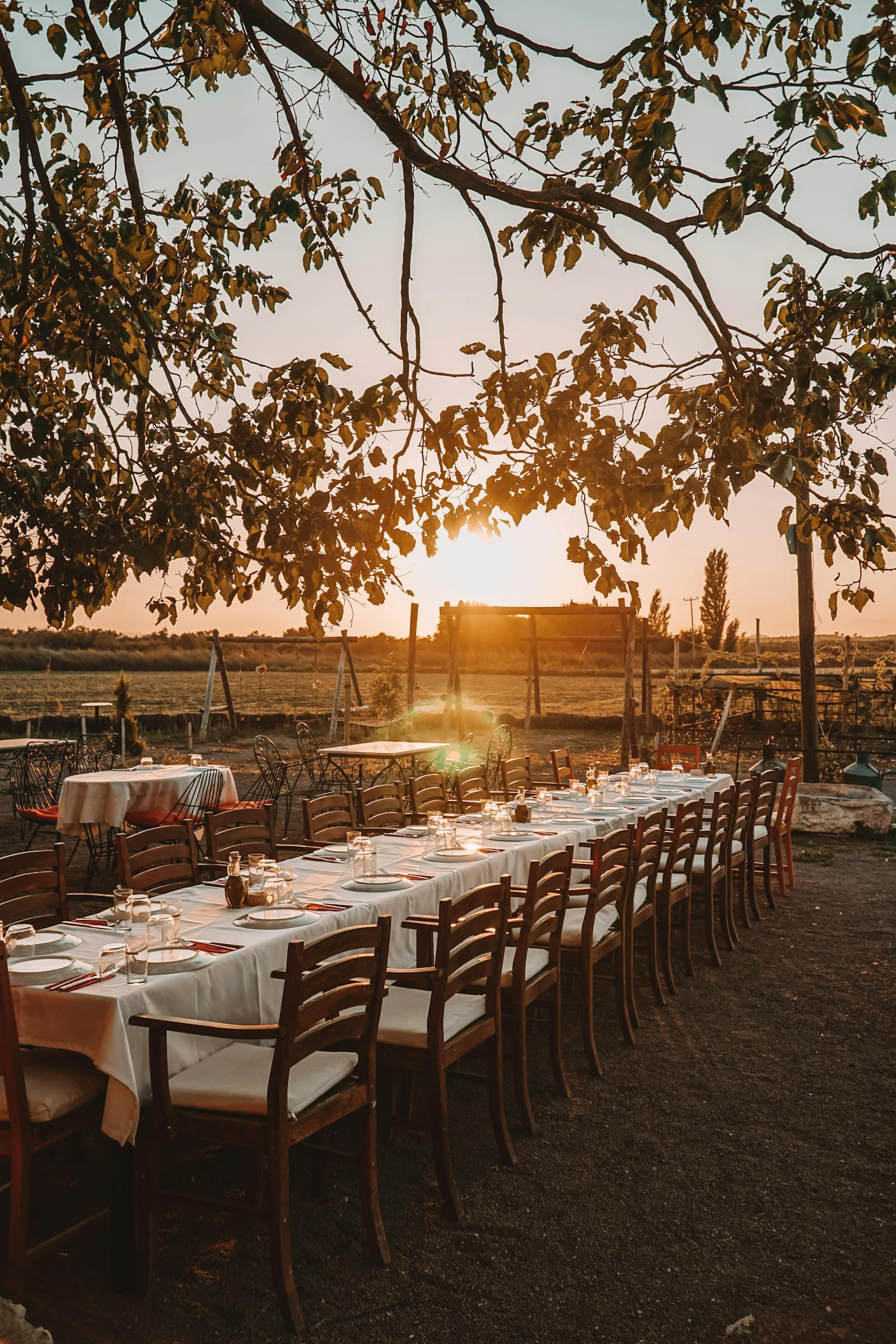 A long candlelit estate dinner — a roast lamb at the centre, half a bottle of Reserva, a half-finished glass.